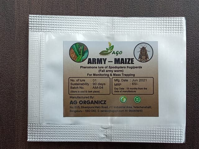 army-maize image
