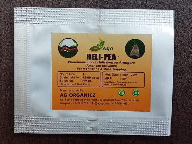 heli-pea image