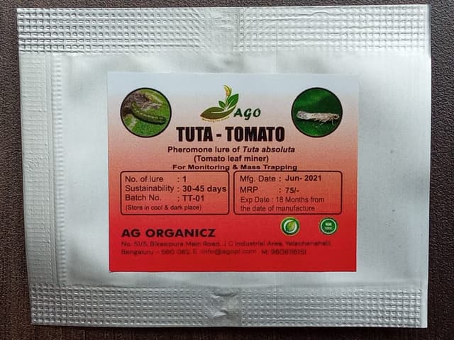 tuta-tomato image